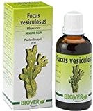 Biover - Fucus Vesiculosus (varech Vésiculeux) Bio - 50 Ml