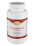 Extrait de Garcinia Cambogia - brûleur de graisse/régime - 120 gélules de 500 mg