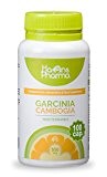 GARCINIA CAMBOGIA. 100 Gélules brûleurs de graisse avec chrome pour un métabolisme des lipides et hydrates de carbone, brûleur de ...