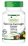Garcinia Cambogia Extrait 500mg - contient 60% d'AHC (acide hydroxycitrique) - 90 gélules